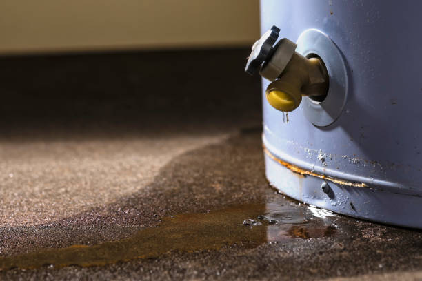 Best Basement water damage restoration  in Pocatello, ID