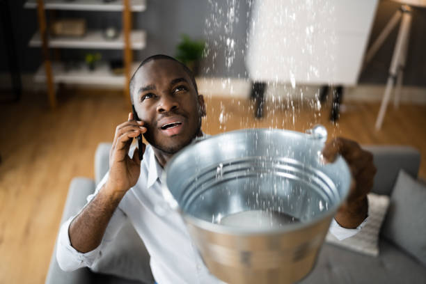 Best Commercial water damage restoration  in Pocatello, ID