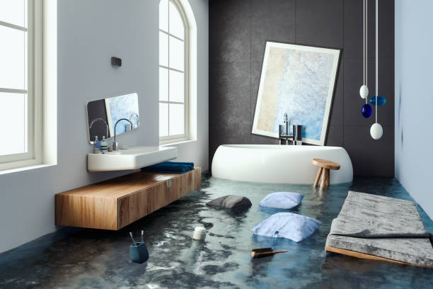 Best Water damage mitigation services  in Pocatello, ID