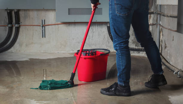 Best Water damage cleanup near me  in Pocatello, ID