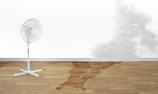 Best 24/7 water damage repair  in Pocatello, ID