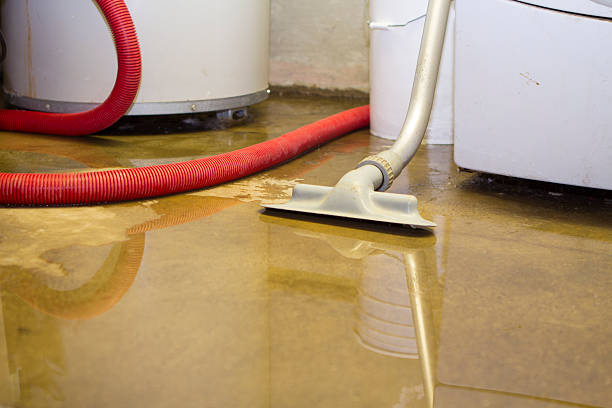 Best 24-hour water damage restoration  in Pocatello, ID