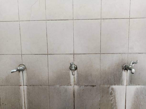 Best Water damage restoration near me  in Pocatello, ID