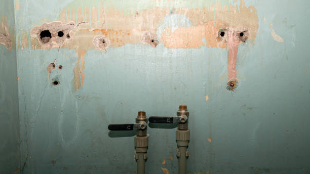 Best Water damage restoration cost  in Pocatello, ID