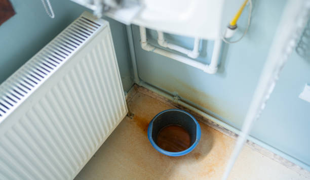 Best Ceiling water damage repair  in Pocatello, ID