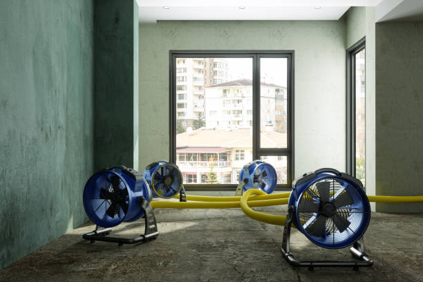 Best Flood damage cleanup  in Pocatello, ID